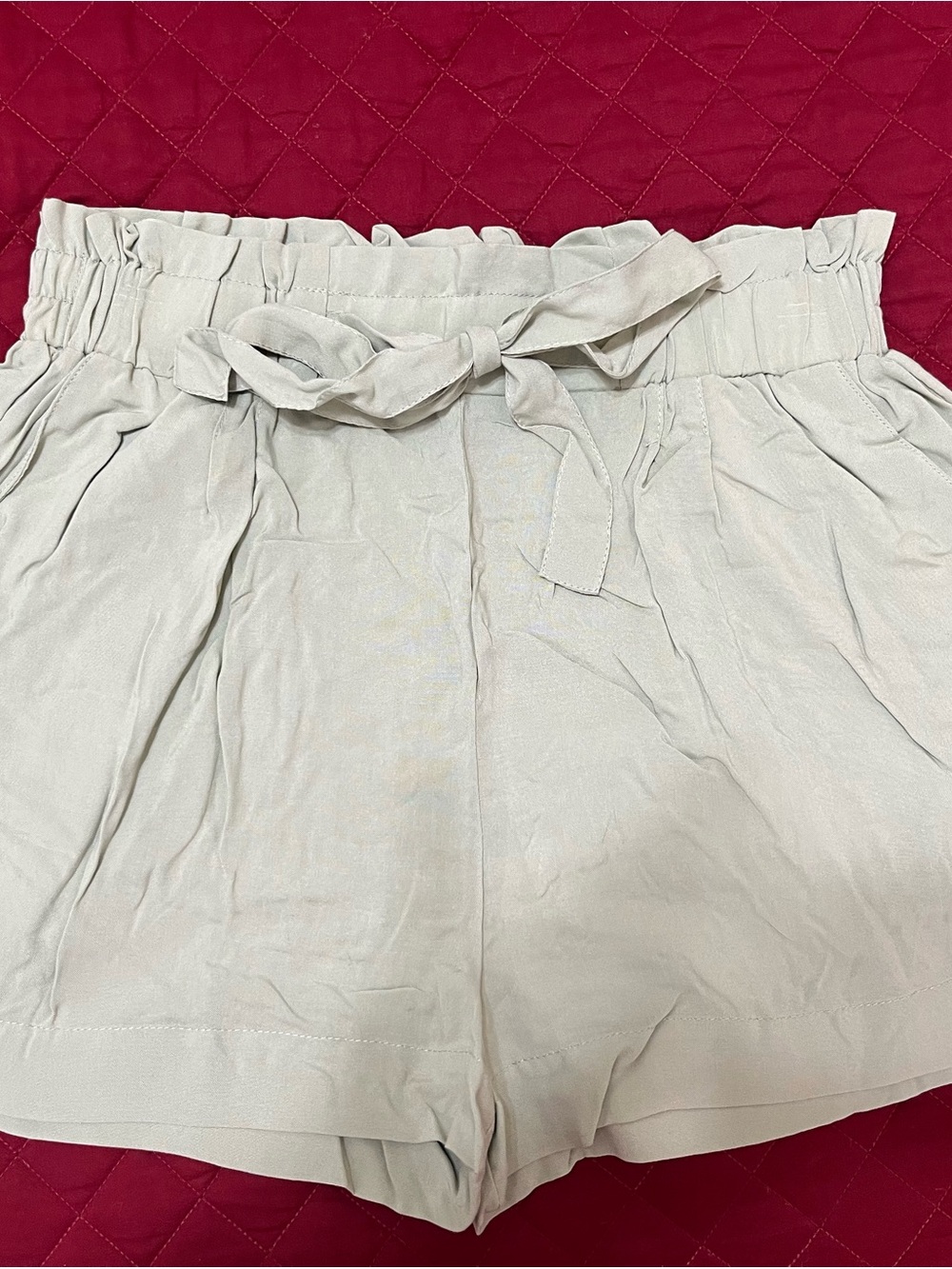 Ambiance Sage Paperbag Waist Tie Shorts